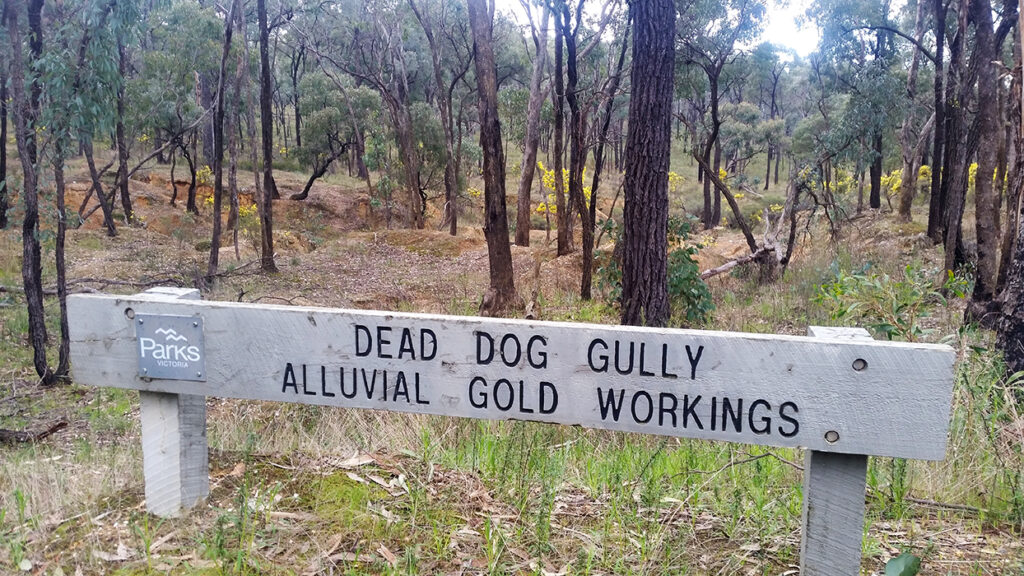 Dead Dog Gully alluvial gold workings