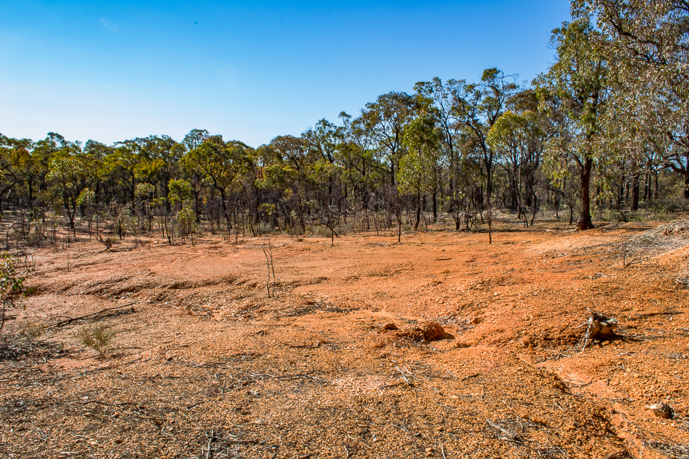 Puddling machines of the Victorian Goldfields